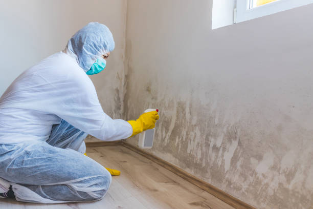 Licensed Crawl Space Mold Removal service in Princeton, FL - WQB Mold Removal