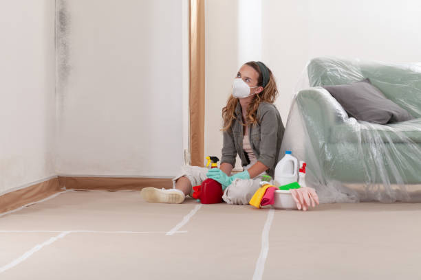 Reliable Crawl Space Mold Removal contractor in Princeton, FL by WQB Mold Removal
